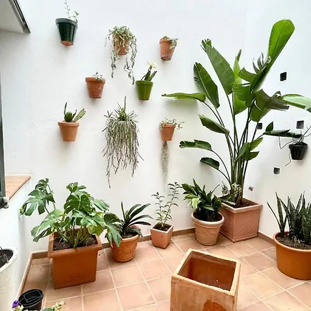 Holiday home Casa Artrutx By Gmhouse Menorca