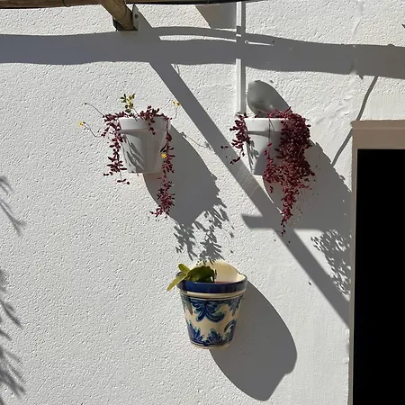 Casa Artrutx By Gmhouse Menorca Cala'N Bosch (Menorca)